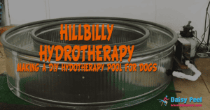 DIY Hydrotherapy for Dogs at Home | Hillbilly Hydrotherapy