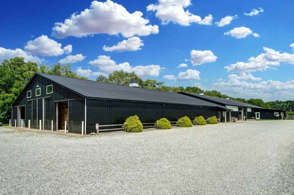 Online dog agility training in ohio