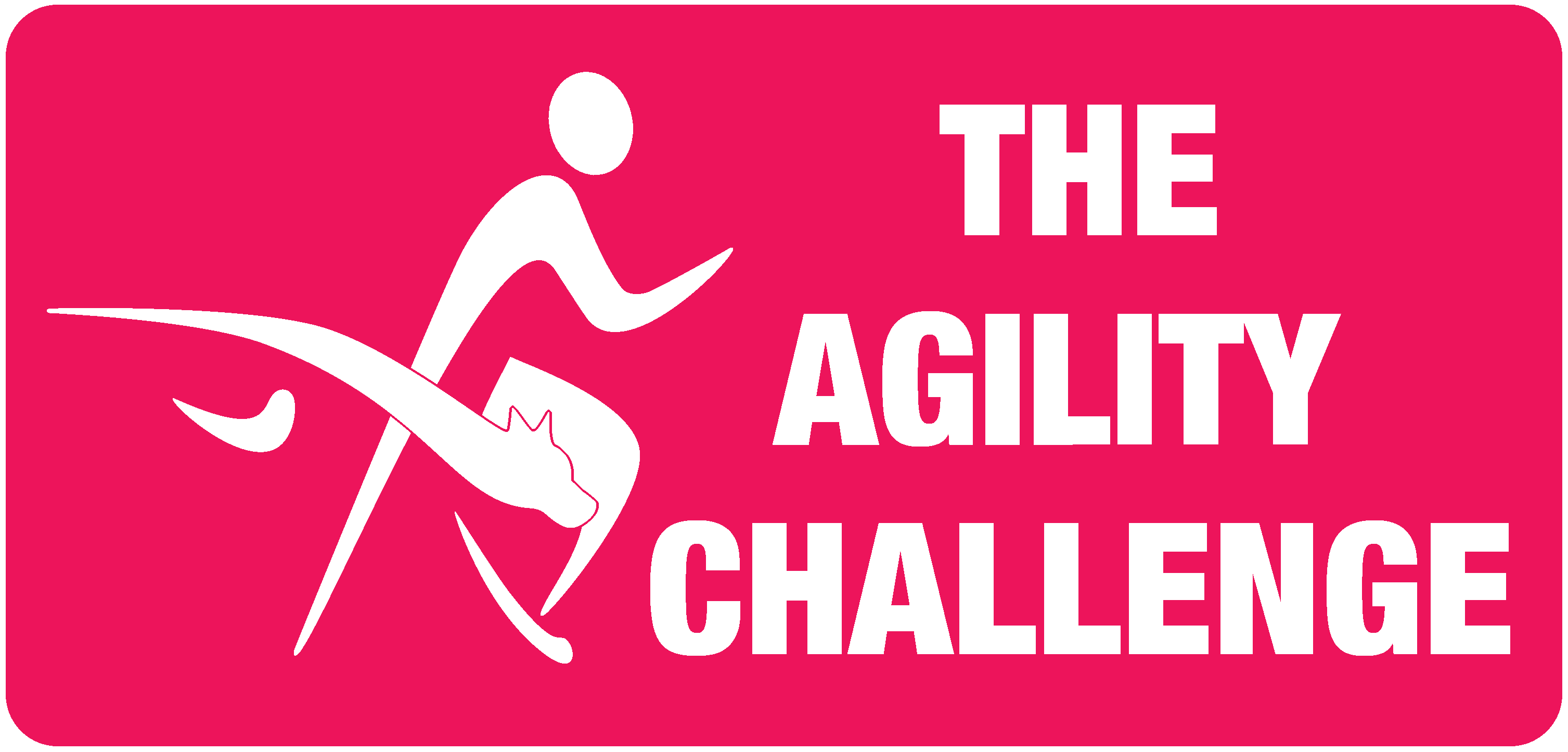 Dog agility courses and training | Daisy Peel