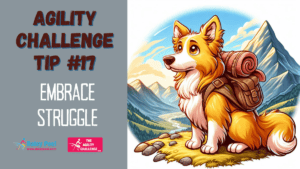 Agility Challenge Tip #17 – Embrace Struggle