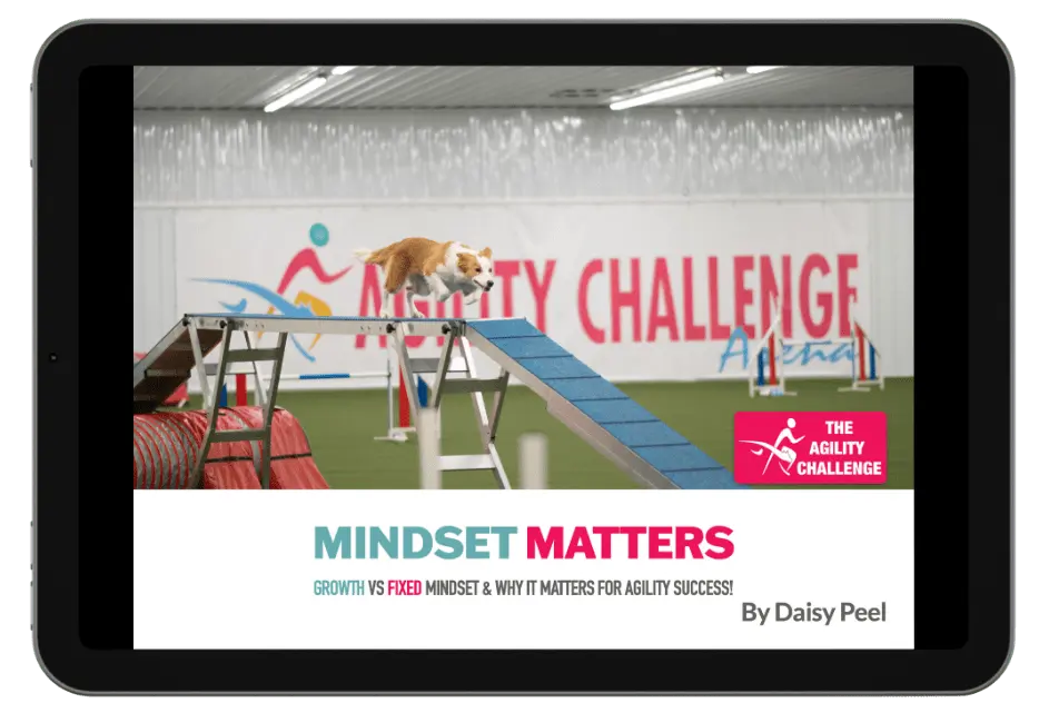 Dog agility courses and training | Daisy Peel