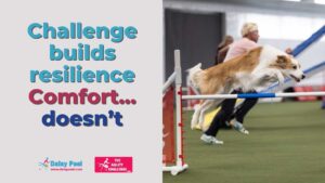 Challenge Builds Resilience. Comfort… Doesn’t.