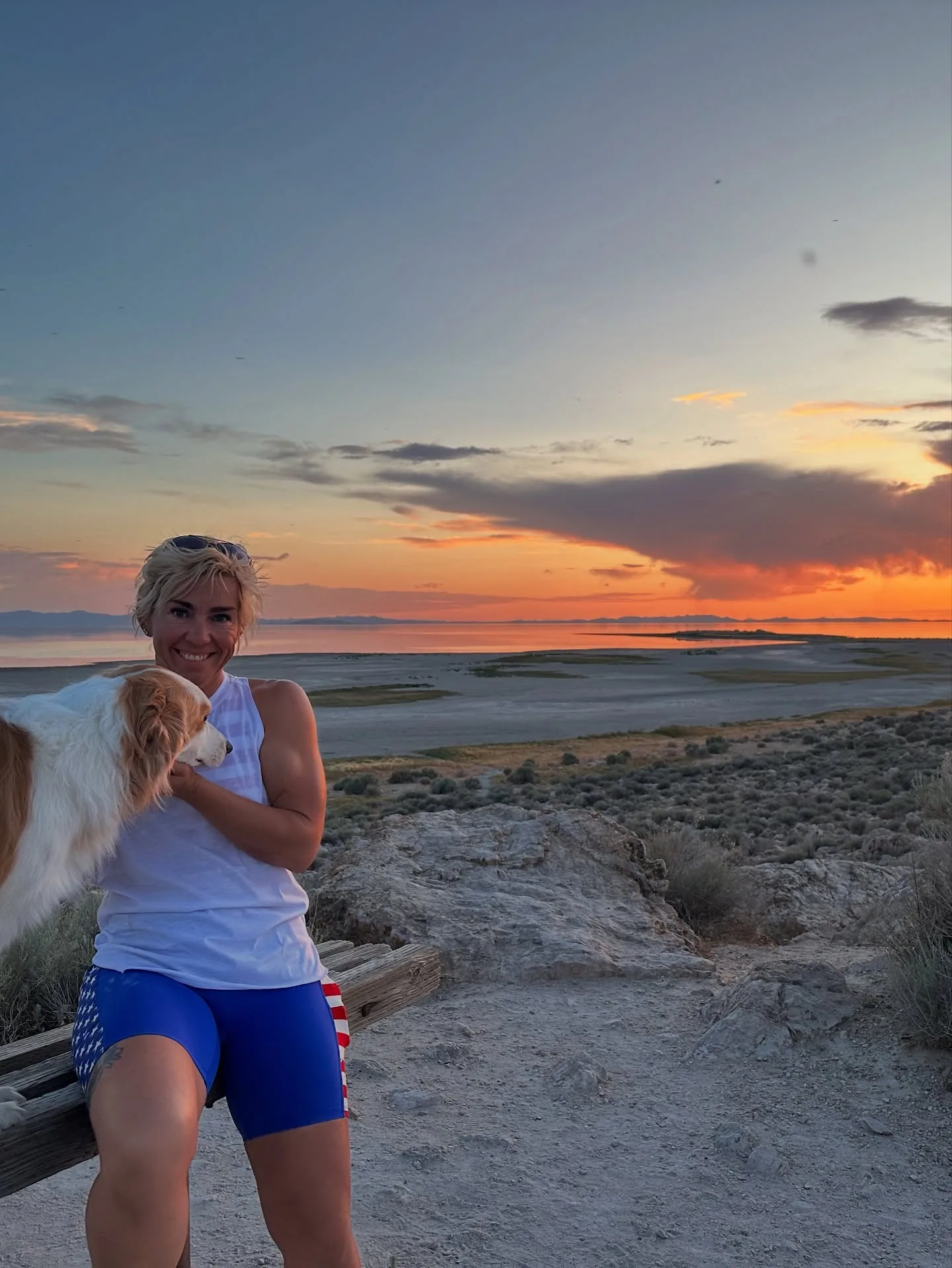 Discover free dog agility training resources with Daisy Peel—Master the Six Basic Cues course, mindset ebook, The Agility Challenge & more.