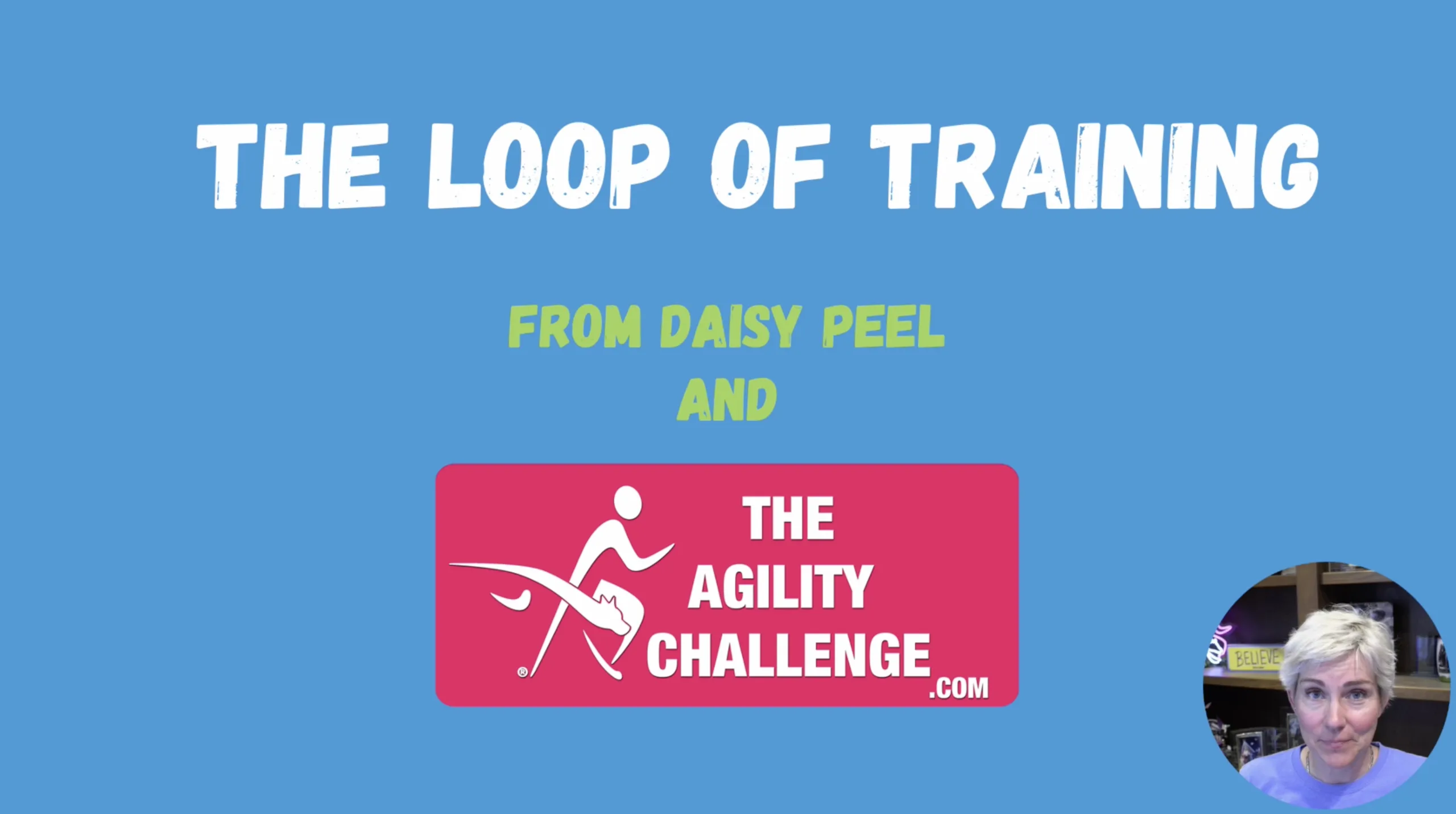 Loop of Training in Dog Agility video lesson by Daisy Peel