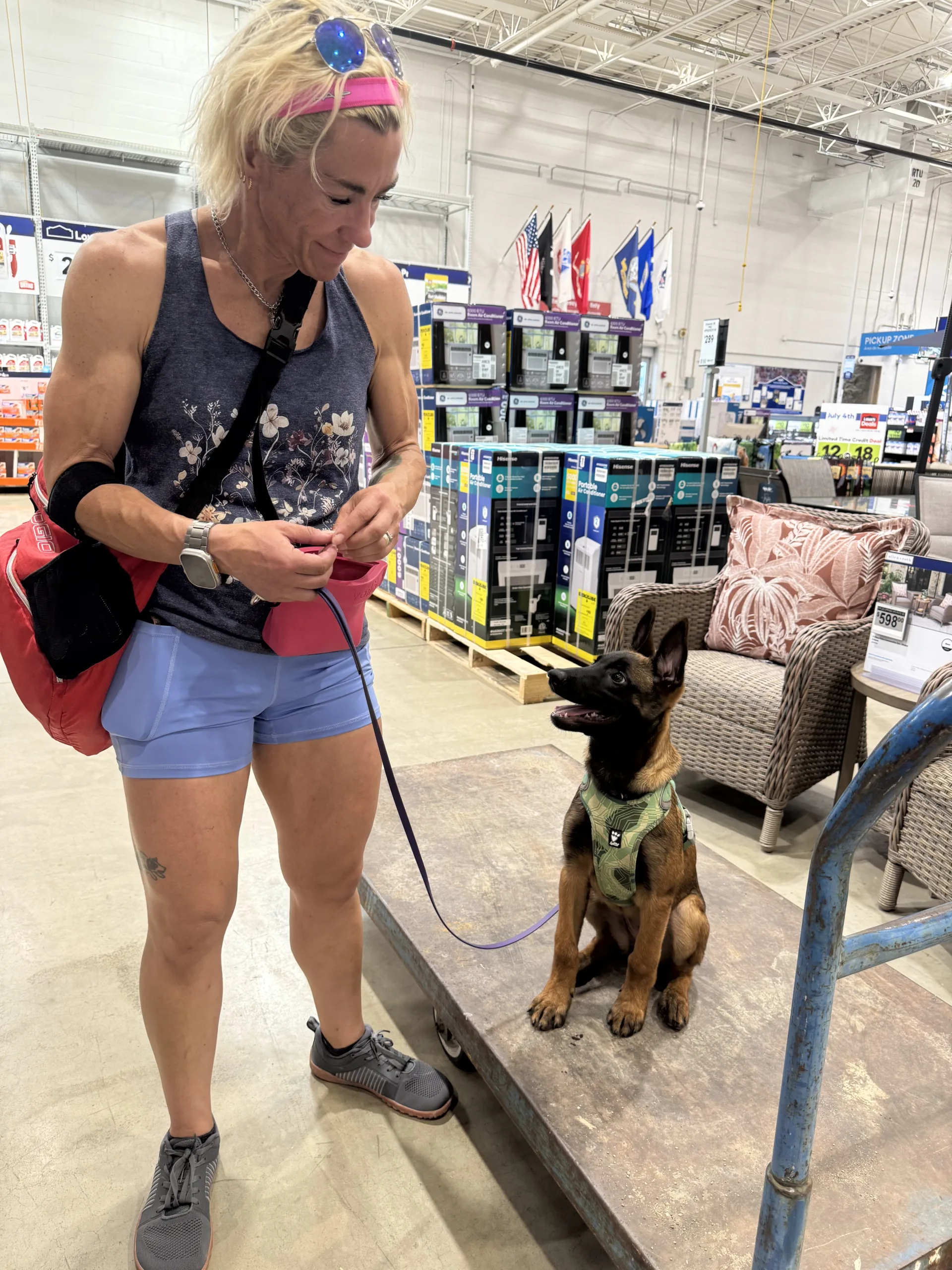 Alice’s Puppy Training Plan: Building Foundations with Markers, Engagement, Neutral Socialization, and Life Skills