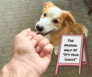 The Missing Half Of “It’s Your Choice”