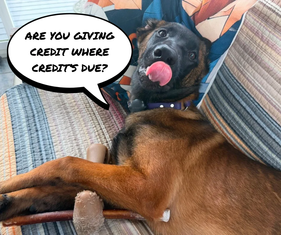 Are You Giving Credit Where Credit’s Due?