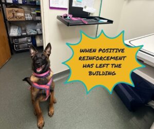 When Positive Reinforcement Has Left The Building
