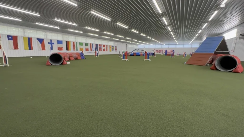Online dog agility training in Ohio