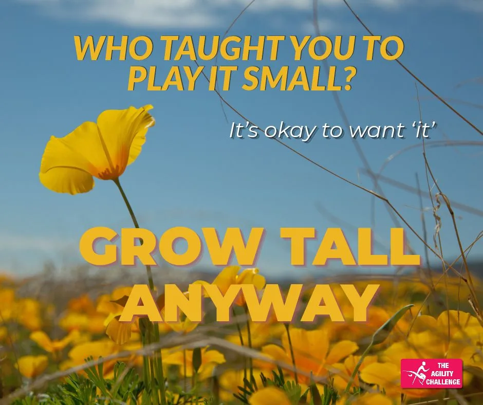 Who taught you to play it small? It's ok to want 'it' - grow tall anyway!
